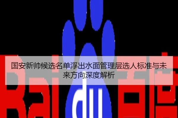 国安新帅候选名单浮出水面管理层选人标准与未来方向深度解析