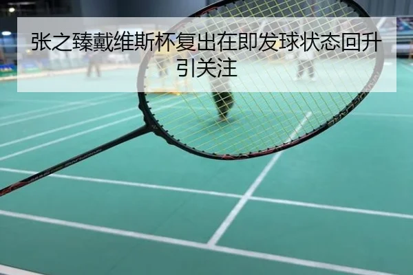 张之臻戴维斯杯复出在即发球状态回升引关注